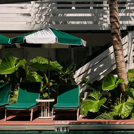 Perroquet Hotel-2